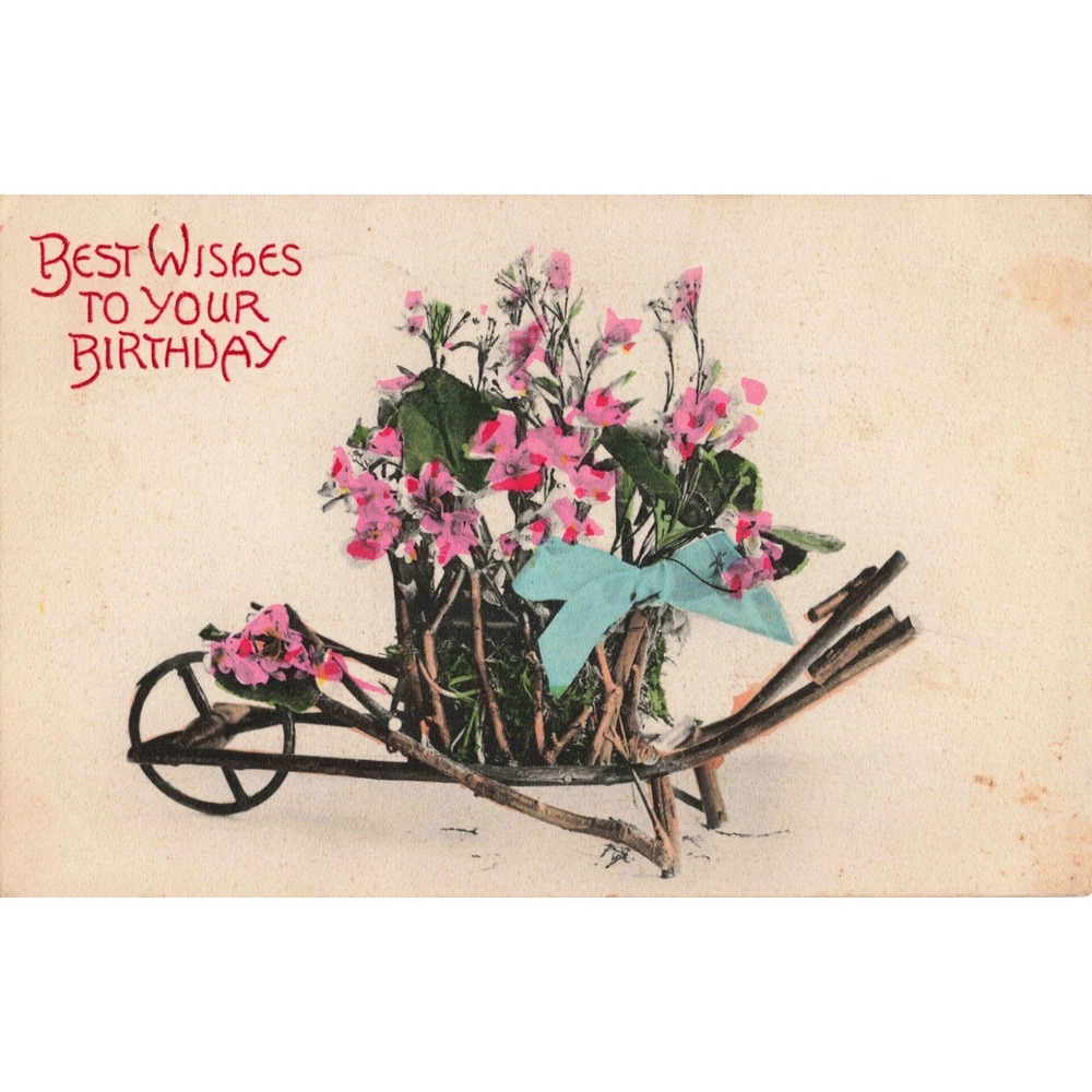 Vintage 1908 Birthday Postcard Twig Wheelbarrow Pink Flowers NY Postmark Germany - Picture 1 of 2